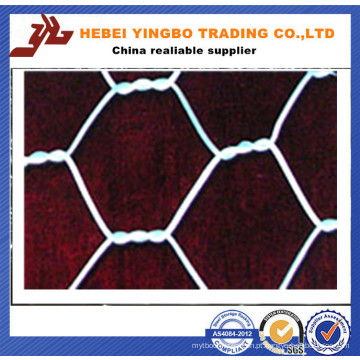 Malha de arame hexagonal galvanizado com molho quente (YB_53012)